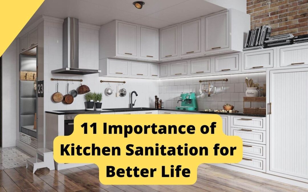 Importance of Kitchen Sanitation