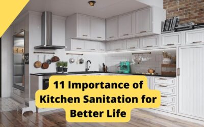 11 Importance of Kitchen Sanitation for Better Life