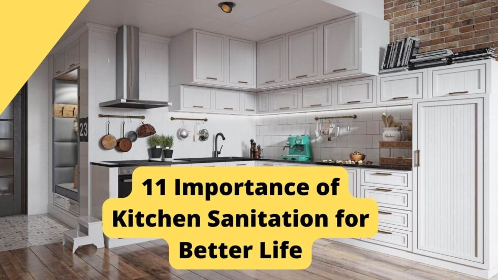 11 Importance Of Kitchen Sanitation For Better Life