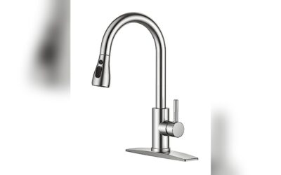 FORIOUS Kitchen Faucet Review: Durable Brushed Nickel Sprayer