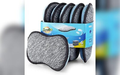 Multi-Purpose Scrub Sponges by Scrub-it: 6 Pack Review