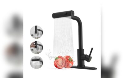 Top Black Kitchen Faucets with Pull Down Sprayer Reviewed